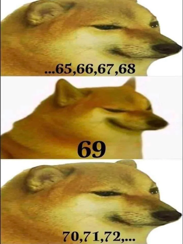 20 Cheems Memes That Made Us Smile: A Tribute to the Wholesome Dog Behind the Laughter 3 69 - Cheemes Memes