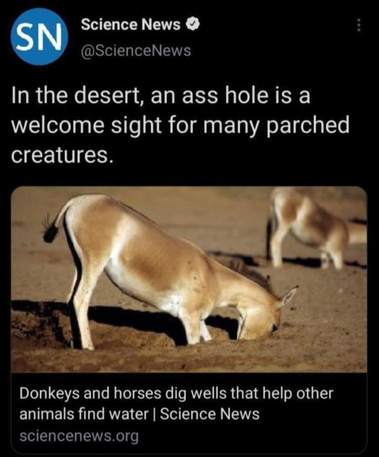 A welcome sight for many - Viral Memes