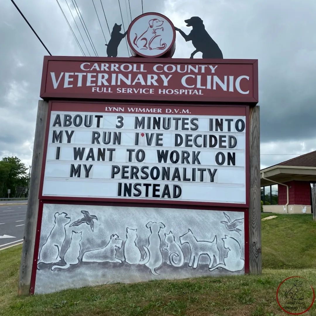 50 Funniest Roadside Signs from This Vet Clinic's Instagram: A Prescription for Smiles 2 About 3 minutes into my run - Vet Clinic