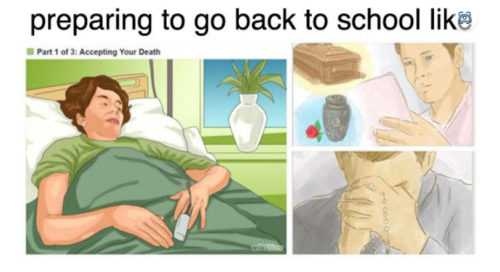 30 Hilarious Back to School Memes That Perfectly Capture the Mixed Emotions of Students, Parents and Teachers 4 Accepting your death Back to School Memes