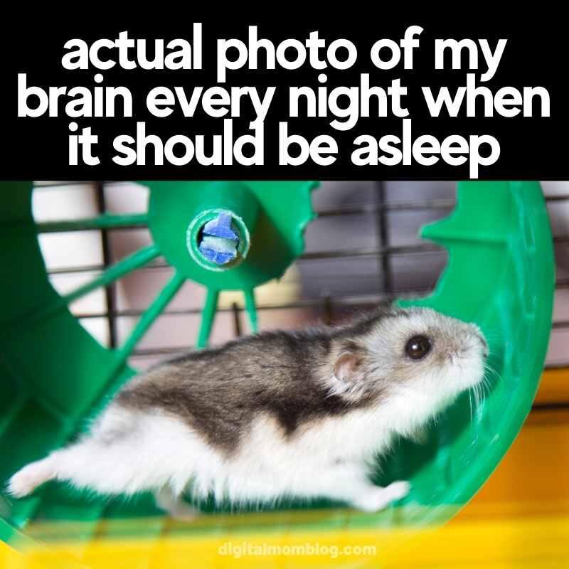 25 Insomnia Memes That Every Insomniac Can Relate To 1 Actual photo of my brain every night - Insomnia Memes