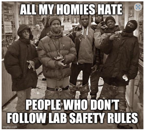 All my homies hate Lab Safety Memes