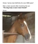 mans best friend meme