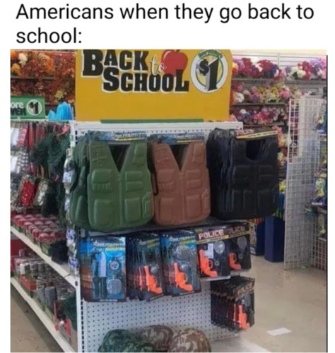 30 Hilarious Back to School Memes That Perfectly Capture the Mixed Emotions of Students, Parents and Teachers 12 Americans when they go back to school Back to School Memes