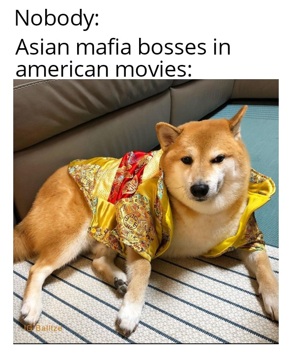 20 Cheems Memes That Made Us Smile: A Tribute to the Wholesome Dog Behind the Laughter 4 Asian mafia bosses - Cheemes Memes
