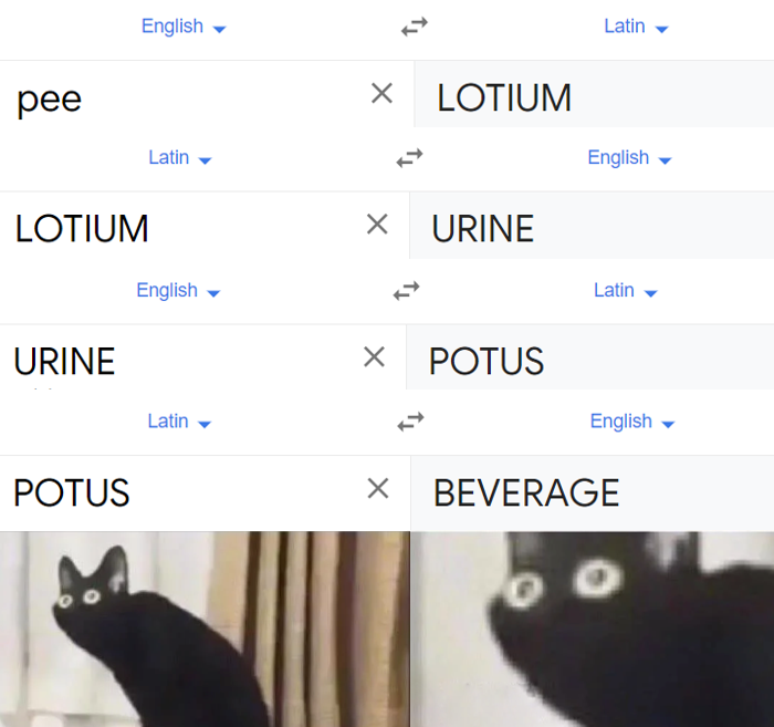 21 Funny Google Translate That Prove Language is Lost in Translation 2 Beverage - Funny Google Translate