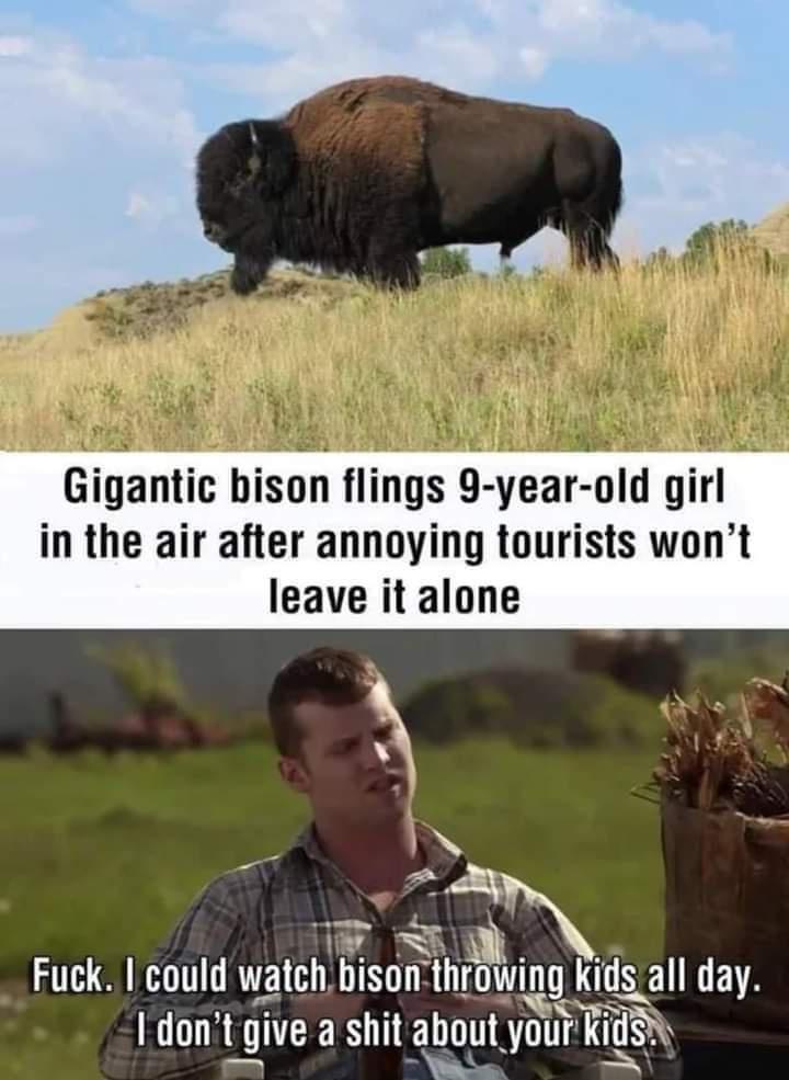 20 Outrageously Funny Memes for a Good Time 4 Bison flings 9 year old - Outrageously Funny Memes