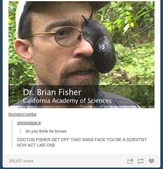 25 Diverse Memes to Brighten Your Midnight Scroll 4 Brian Fisher - Diverse Memes