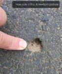 pothole memes