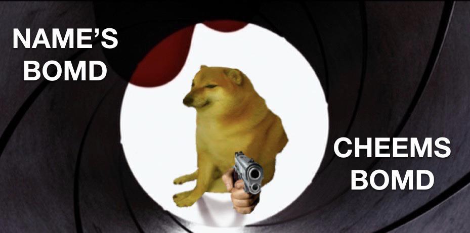 20 Cheems Memes That Made Us Smile: A Tribute to the Wholesome Dog Behind the Laughter 5 Cheems bond - Cheemes Memes