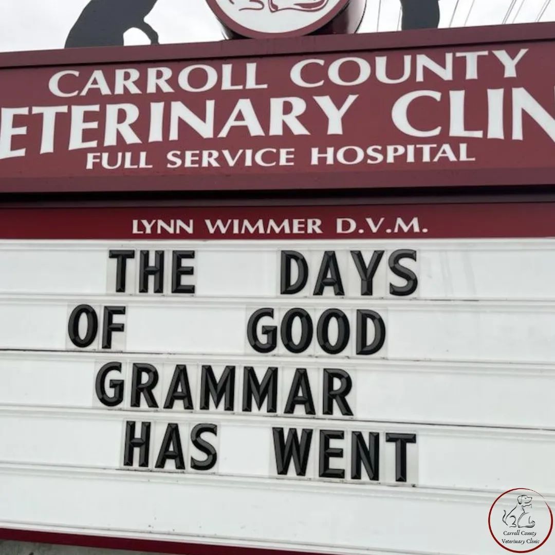 50 Funniest Roadside Signs from This Vet Clinic's Instagram: A Prescription for Smiles 5 Days of good grammar - Vet Clinic