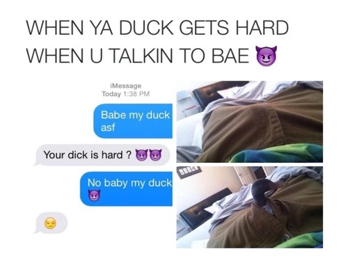 Duck Memes - FG