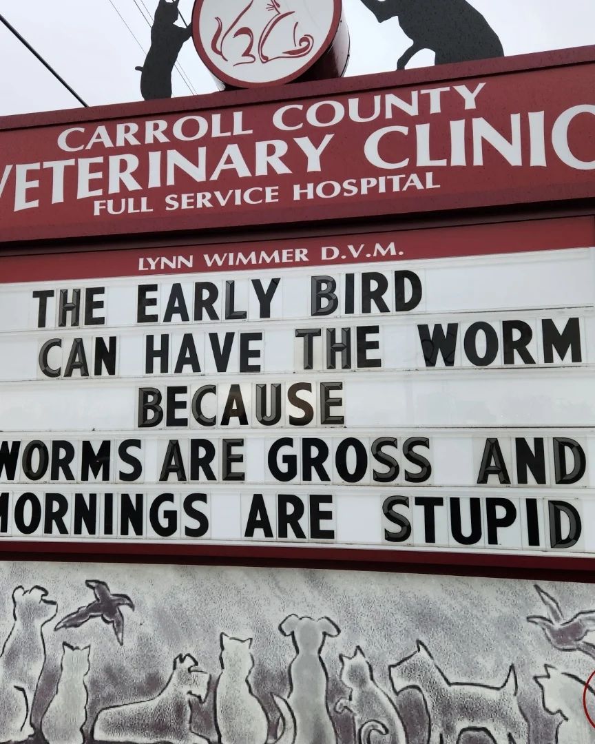 50 Funniest Roadside Signs from This Vet Clinic's Instagram: A Prescription for Smiles 6 Early bird can have the worm - Vet Clinic