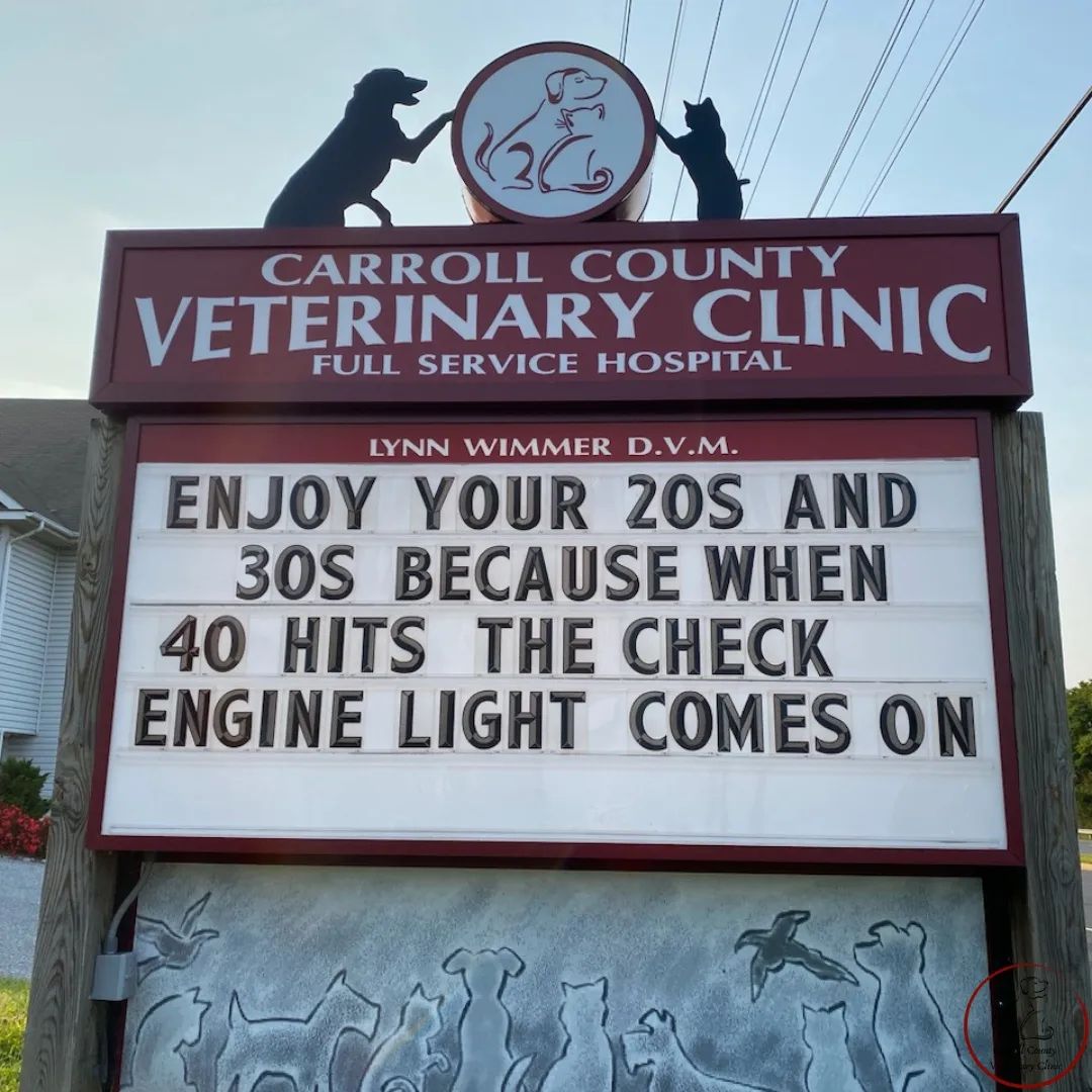 50 Funniest Roadside Signs from This Vet Clinic's Instagram: A Prescription for Smiles 8 Enjoy your 20s and 30s - Vet Clinic