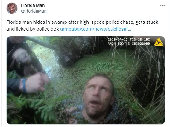 30 Florida Man Escapades That Seemed Too Crazy to Be True 15 Florida man hides in swamp - Florida Man