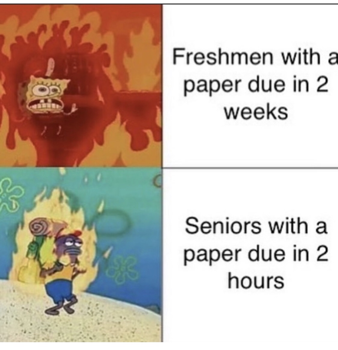 20 Whimsy-Filled Memes That Made My Grandma Ask "What's Wrong with Your Generation?" 2 Freshmen vs seniormen - Whimsy-Filled Memes