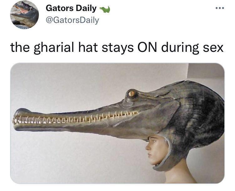 20 Viral Memes You Need to See Right Now 8 Gharial hat stays on - Viral Memes