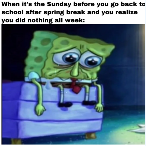 30 Hilarious Back to School Memes That Perfectly Capture the Mixed Emotions of Students, Parents and Teachers 7 Go back to school after spring Back to School Memes