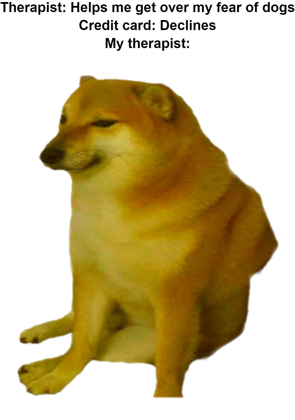20 Cheems Memes That Made Us Smile: A Tribute to the Wholesome Dog Behind the Laughter 7 Helps me come over my fear - Cheemes Memes