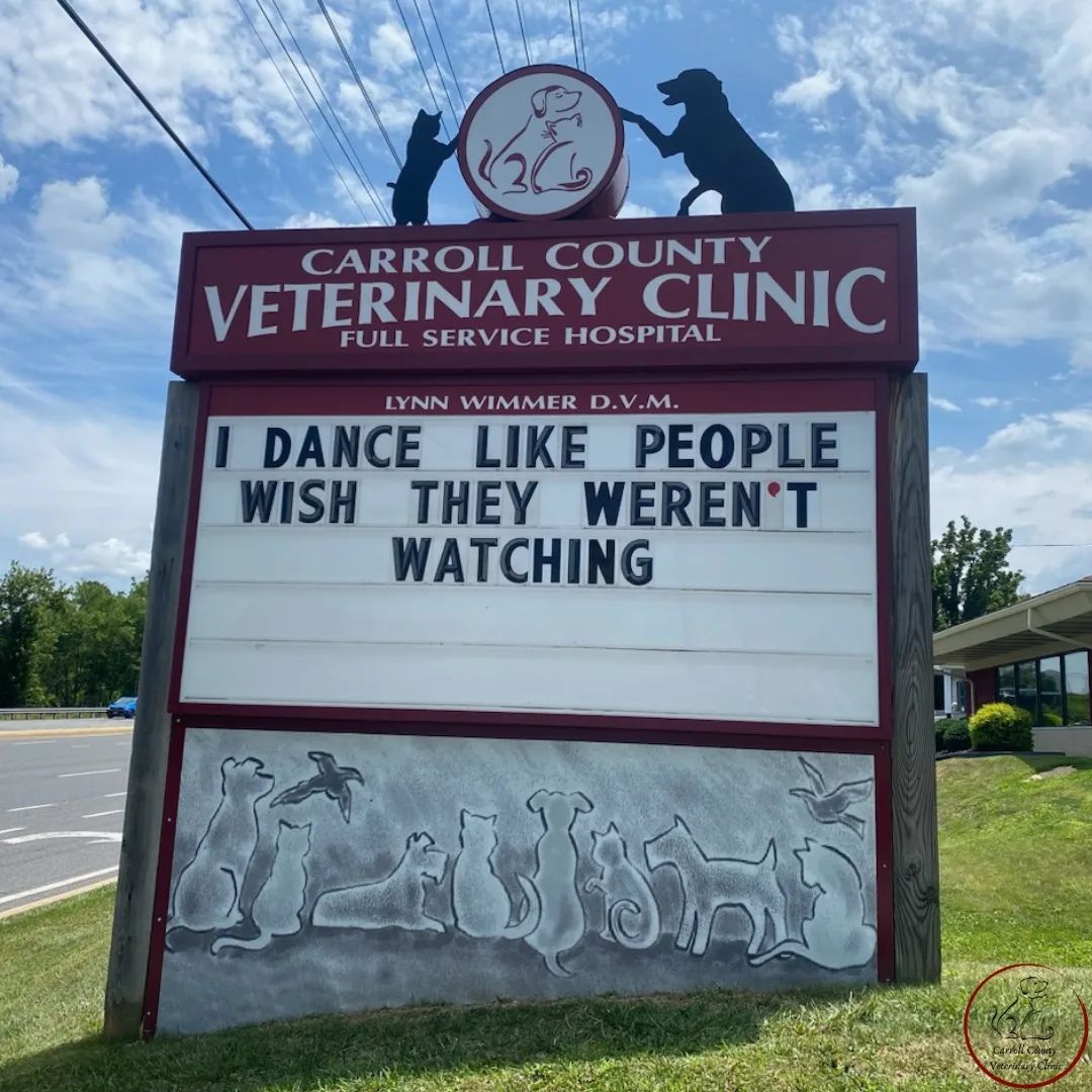 50 Funniest Roadside Signs from This Vet Clinic's Instagram: A Prescription for Smiles 14 I dance like people wish they werent watching - Vet Clinic