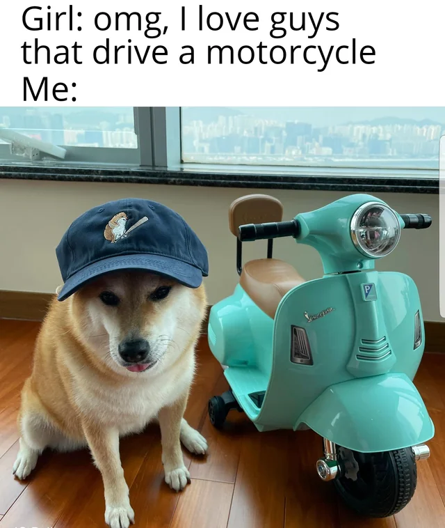 20 Cheems Memes That Made Us Smile: A Tribute to the Wholesome Dog Behind the Laughter 8 I love guys that drive a motorcycle - Cheemes Memes