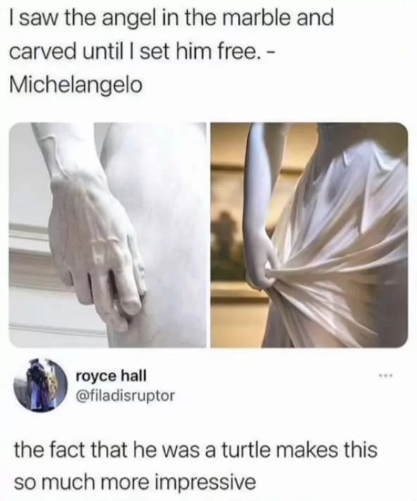 34 Turtle Memes to Shell-ter You from Boredom on World Turtle Day 13 I saw the angel in the marble - turtle memes