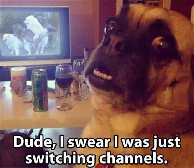Viral Chuckles: Exploring 7 Top-Tier Memes 4 I sewar I was just switching channels