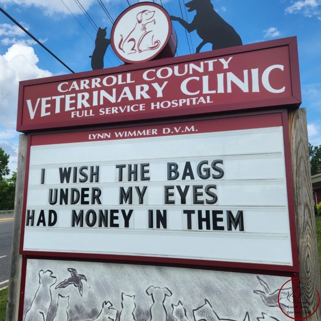 50 Funniest Roadside Signs from This Vet Clinic's Instagram: A Prescription for Smiles 19 I wish the bags under my eyes - Vet Clinic