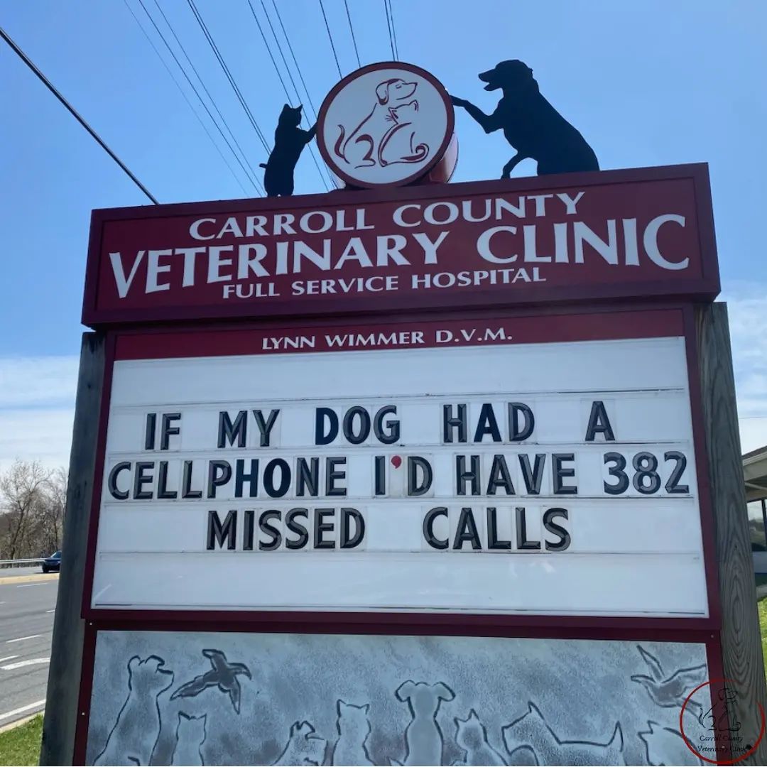 50 Funniest Roadside Signs from This Vet Clinic's Instagram: A Prescription for Smiles 20 If my dog had a cellphone - Vet Clinic