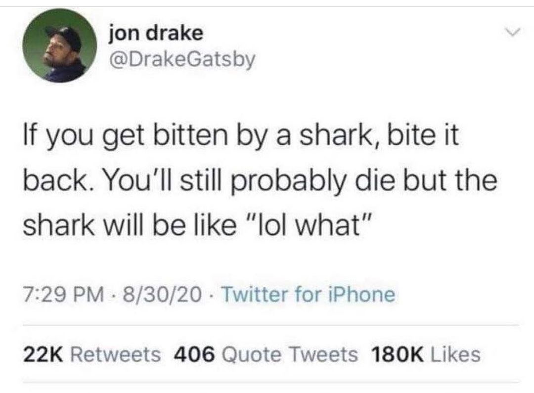Dumb Tweets That Defy Logic: 35 Gems from Twitter, Courtesy of 'reallydumbtweets' 12 If you get bitten by a shark - Dumb Tweets
