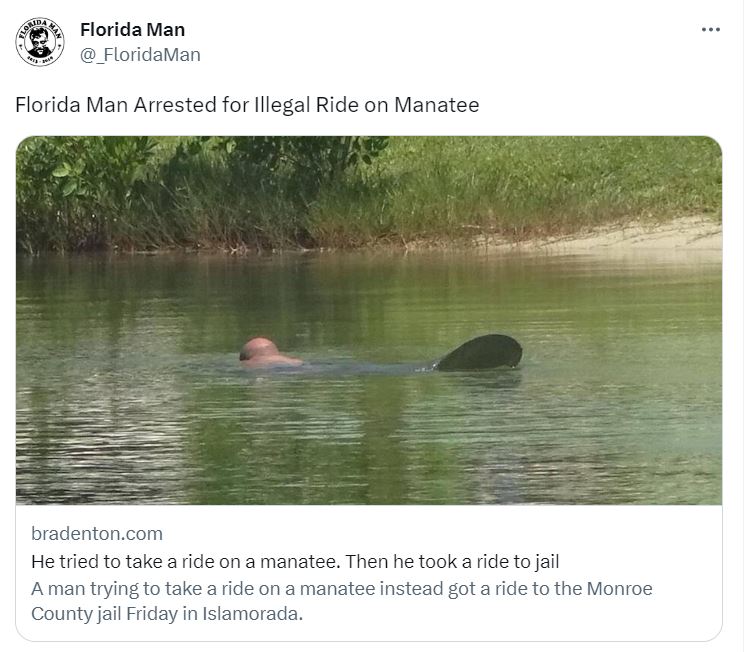 30 Florida Man Escapades That Seemed Too Crazy to Be True 23 Illegal ride - Florida Man