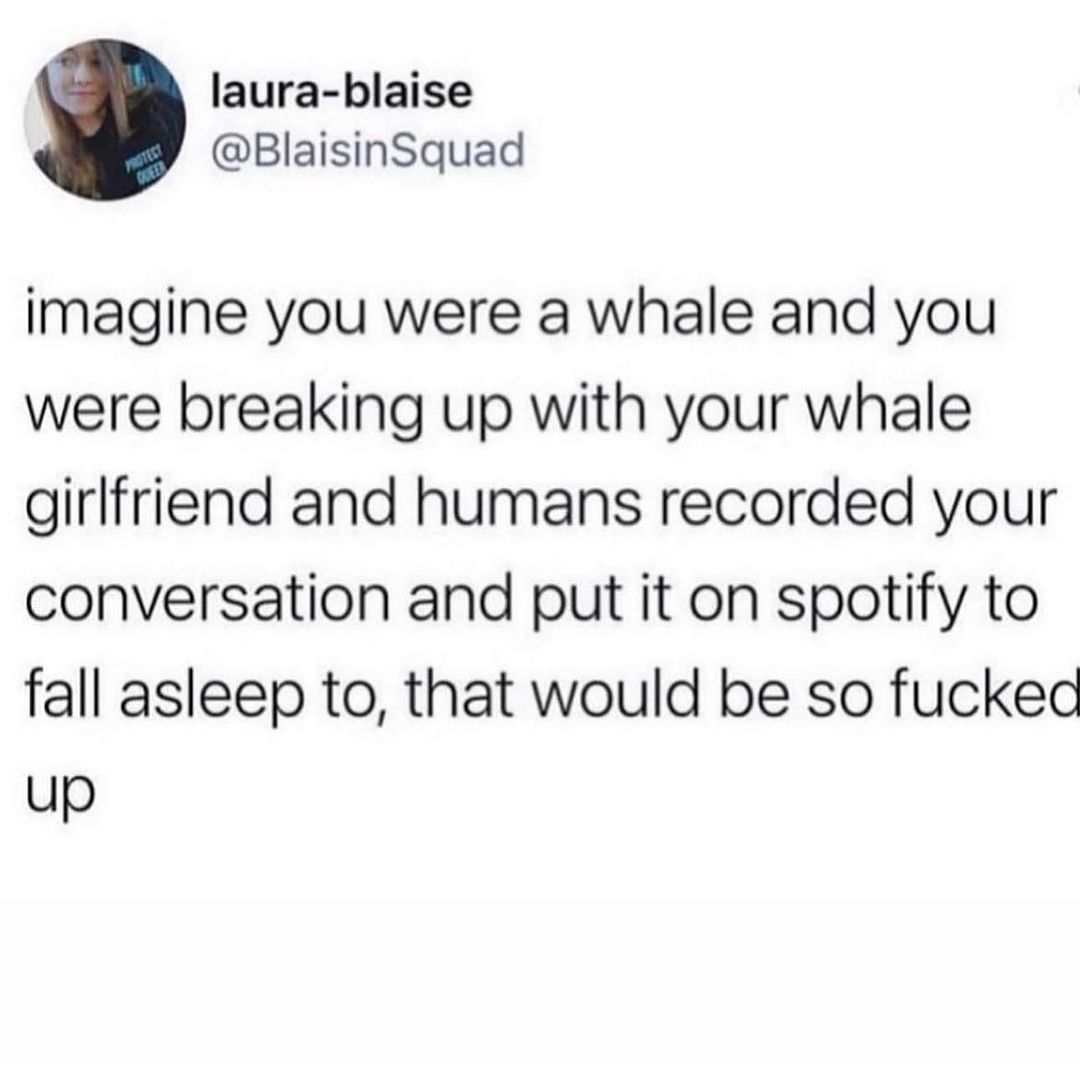 35 "Memes For Women" From Instagram: Ladies Everywhere Will Relate To 7 Imagine you were a whale - memes for women