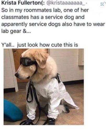In my roommates lab Lab Safety Memes