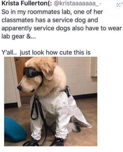 In my roommates lab Lab Safety Memes