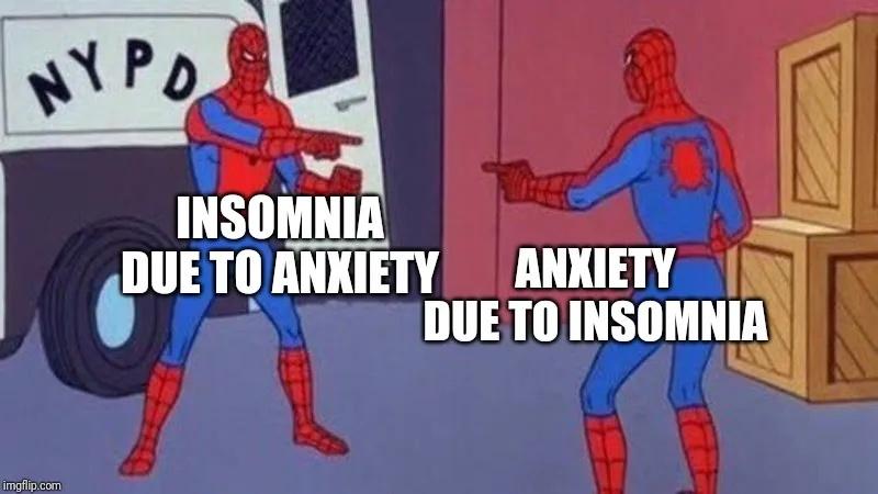 25 Insomnia Memes That Every Insomniac Can Relate To 5 Insomnia due to anxiety - Insomnia Memes