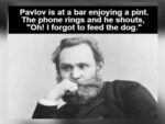 Intellectual Jokes - FG