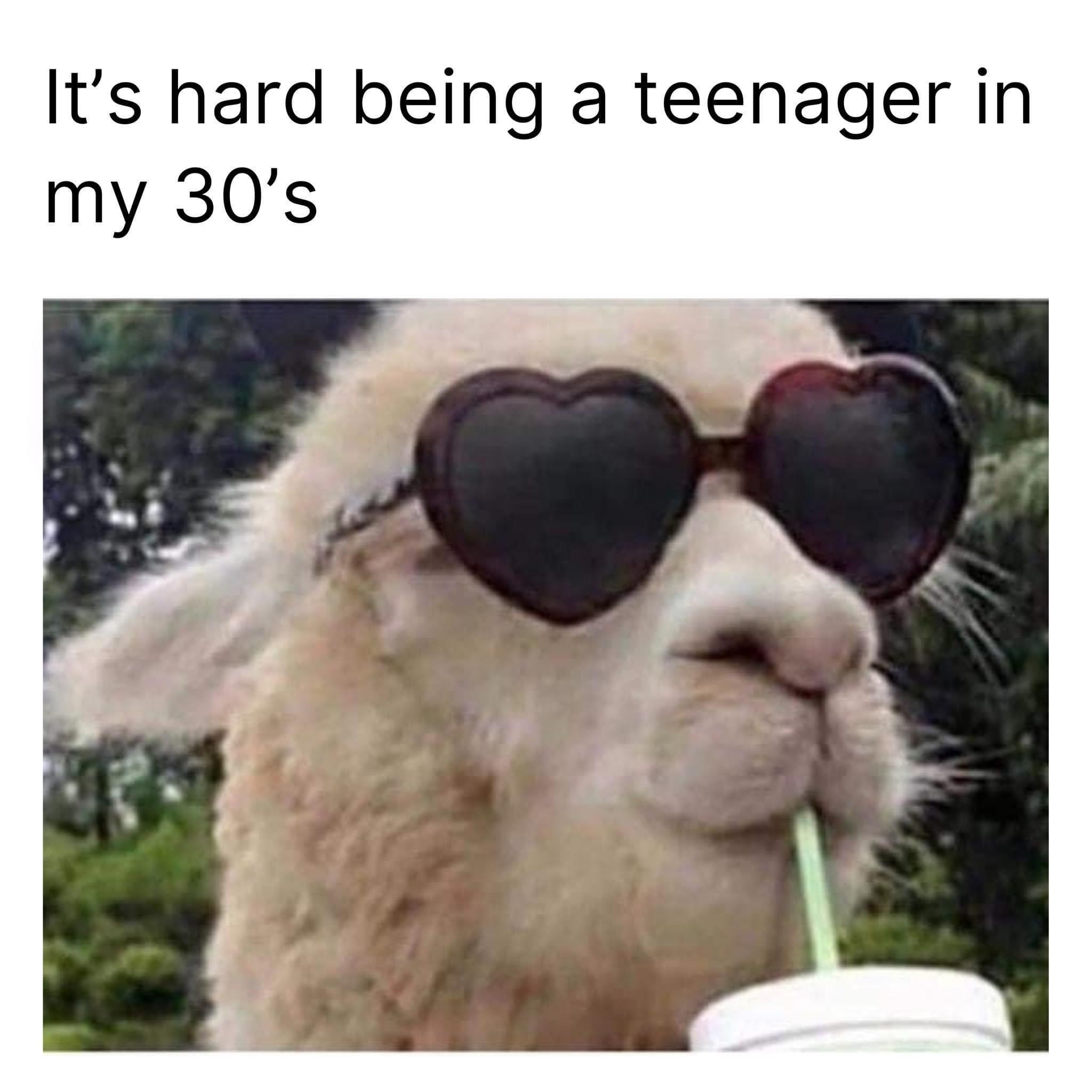20 Viral Memes You Need to See Right Now 11 Its hard being a teenager - Viral Memes