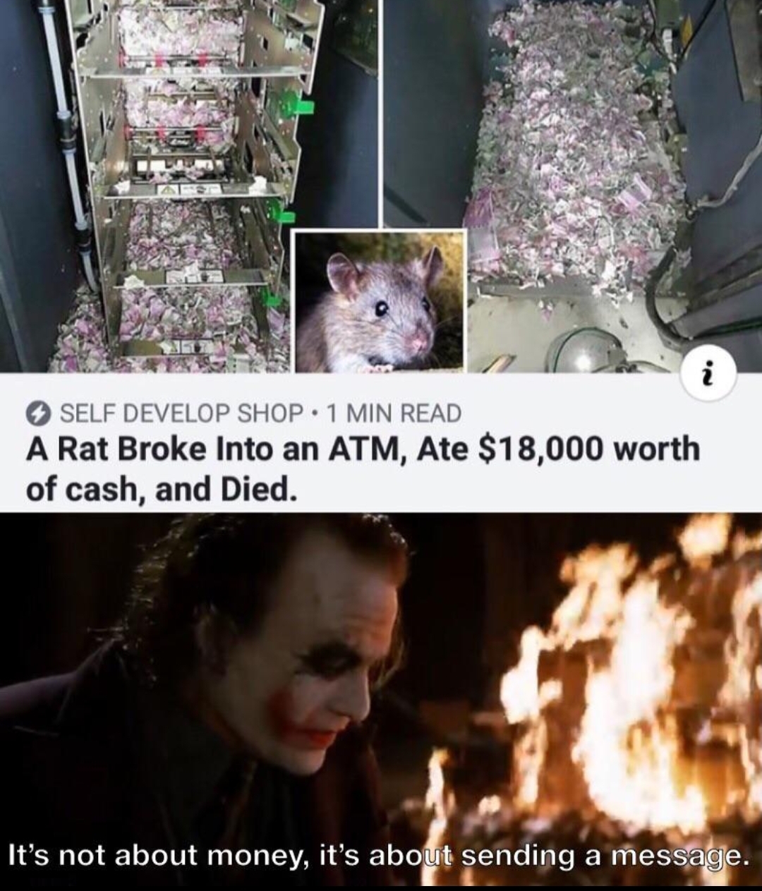 27 Rat Memes That Will Make You Laugh at Their Epic Rat-ventures 9 Its not about money its about sending message - Rat Memes