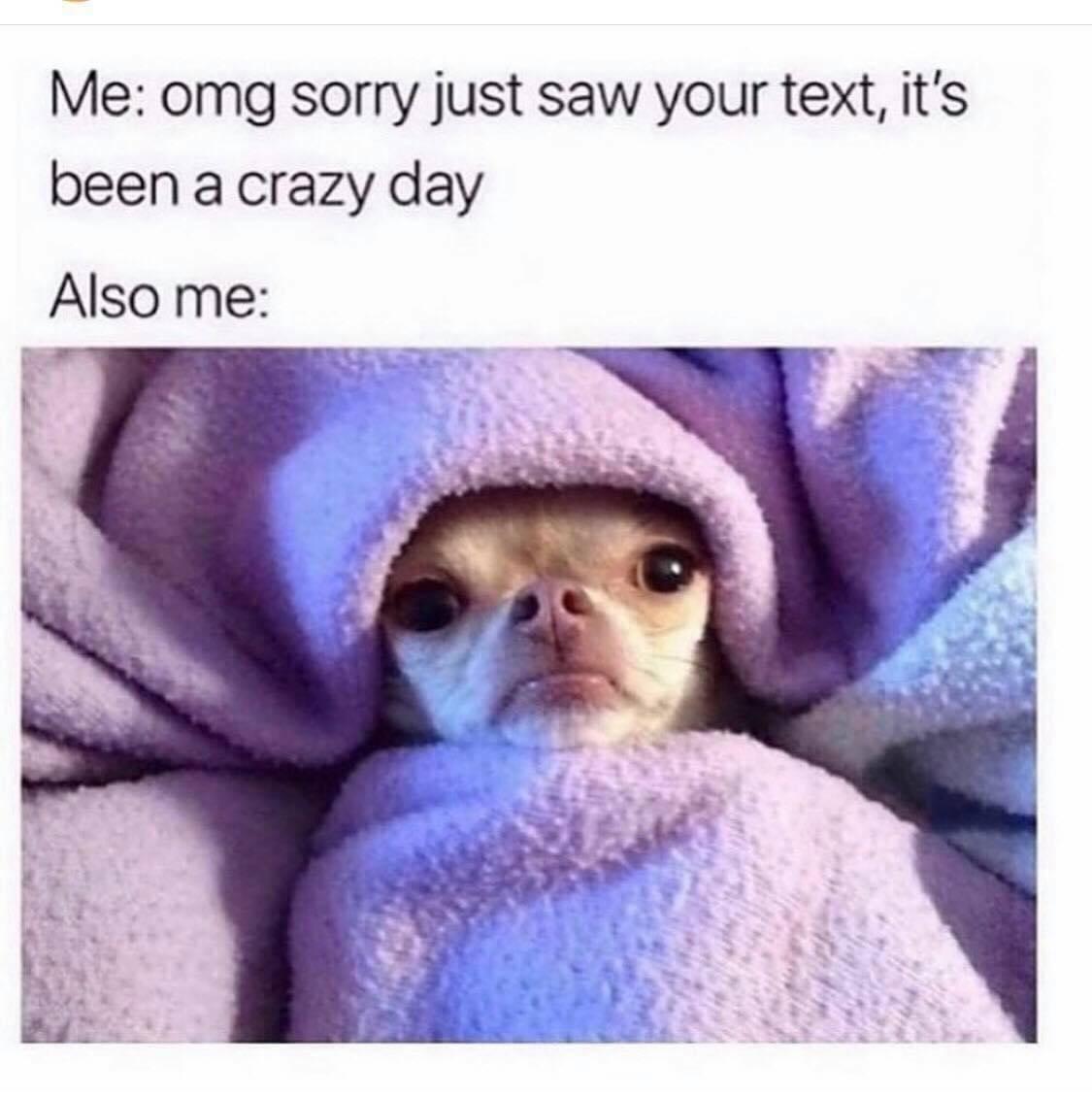 20 Outrageously Funny Memes for a Good Time 8 Just saw your text - Outrageously Funny Memes