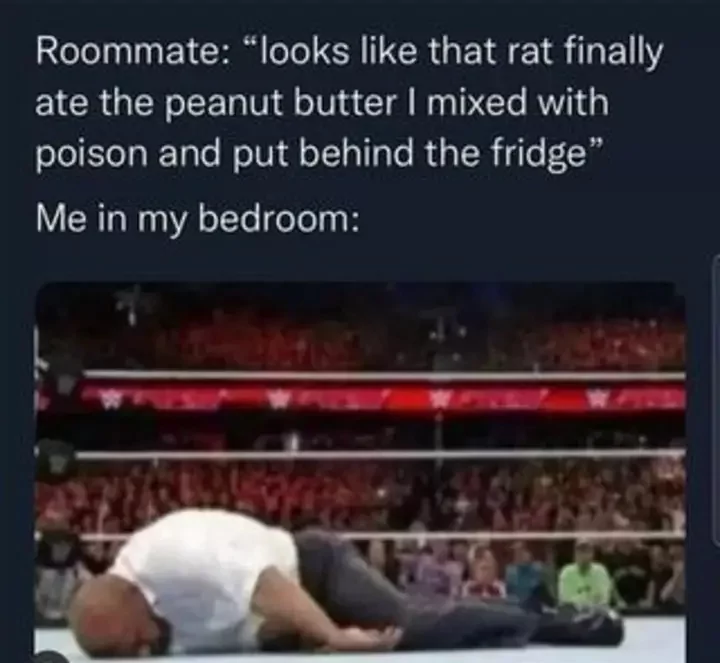 27 Rat Memes That Will Make You Laugh at Their Epic Rat-ventures 11 Looks like the rat finally ate - Rat Memes