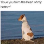 Love You From The Bottom Of Heart Memes