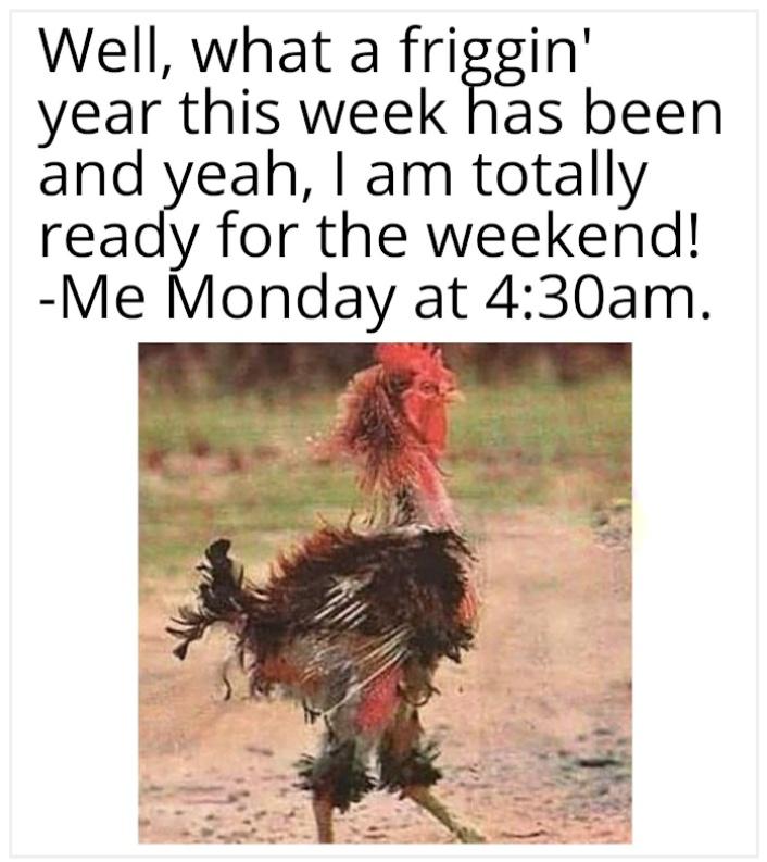 20 Monday Humor Memes for Hardcore Monday Haters 6 Me monday at 430am - Monday Humor