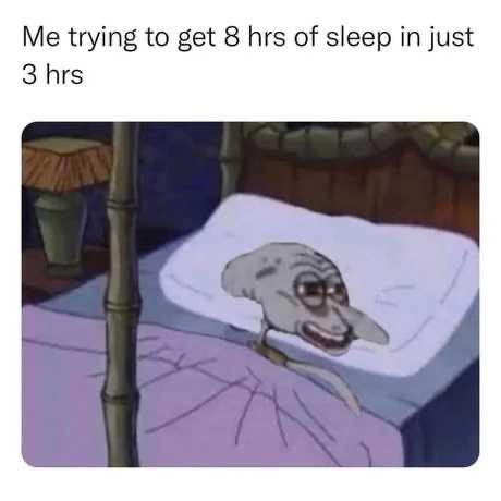 Counting Sheep: 25 Insomnia Memes That Every Insomniac Can Relate To ...