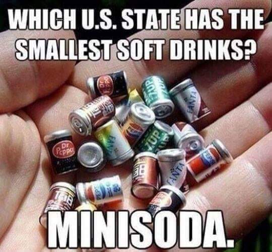 15 Pun Examples That Will Tickle Your Brain with a Feather 7 Minisoda - Pun Examples