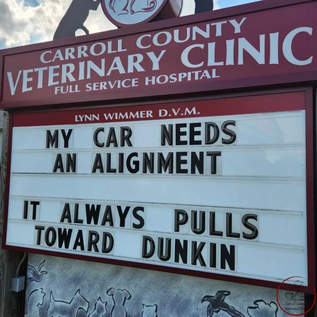 50 Funniest Roadside Signs from This Vet Clinic's Instagram: A Prescription for Smiles 23 My car needs an alignment - Vet Clinic