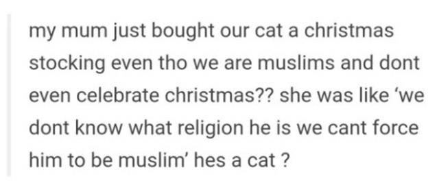 Mom Humor: 20 Times Moms Nailed Comedy & Chaos 13 My mom just brought ur christmas cat stockings - Mom Humor