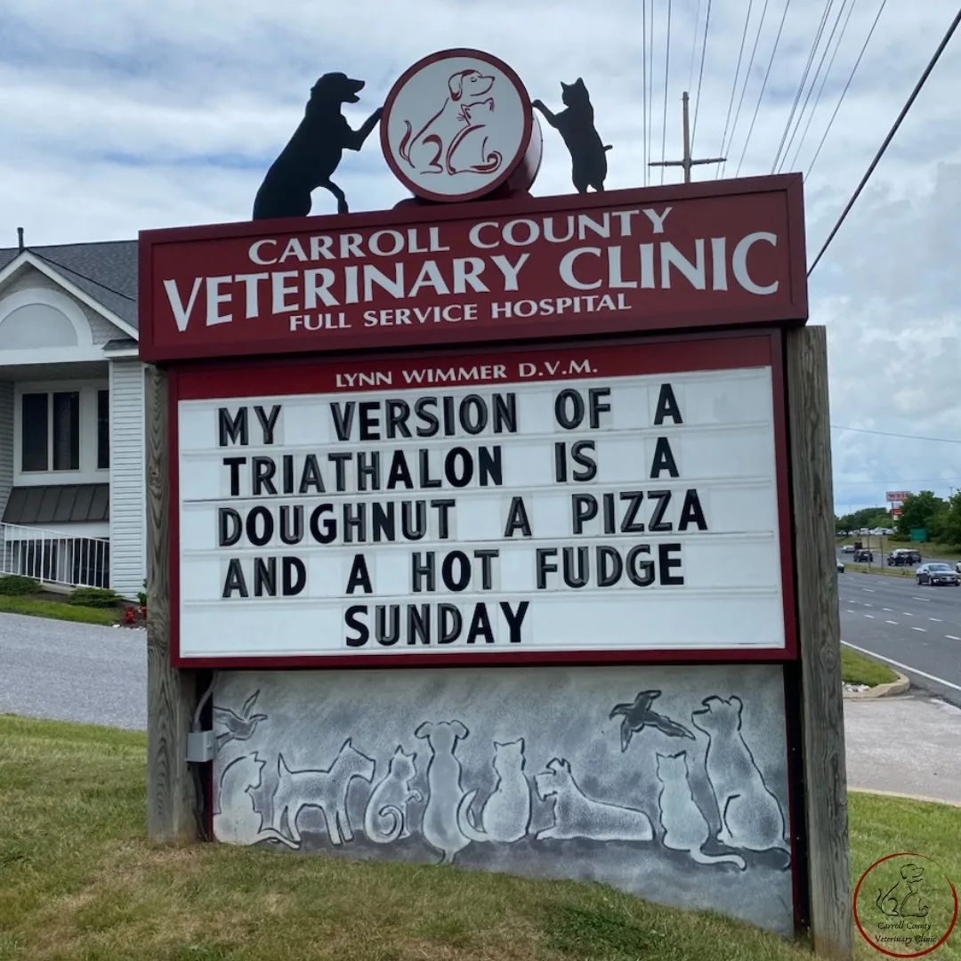 50 Funniest Roadside Signs from This Vet Clinic's Instagram: A Prescription for Smiles 24 My version of a triathalon - Vet Clinic