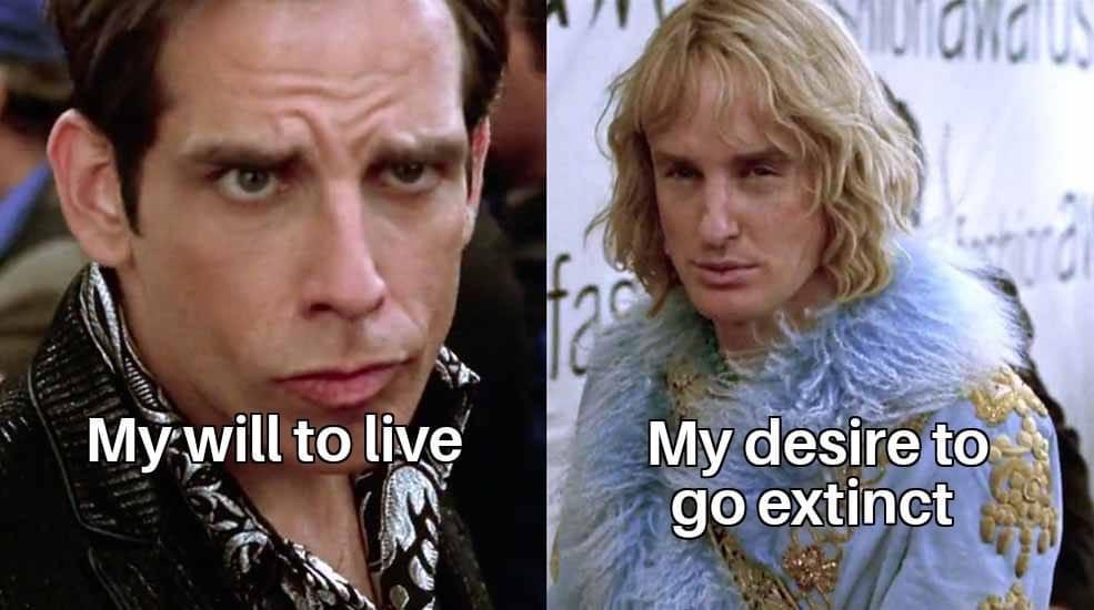 Meme Avalanche: 20 Totally Random and Absolutely Hilarious Picks 8 My will to live - Meme Avalanche