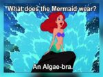 Nerd Jokes - FG