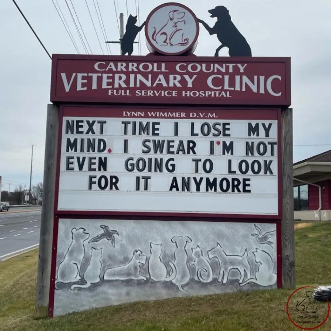 50 Funniest Roadside Signs from This Vet Clinic's Instagram: A Prescription for Smiles 25 Next time I lose my mind - Vet Clinic